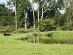 Enters Reggedal
